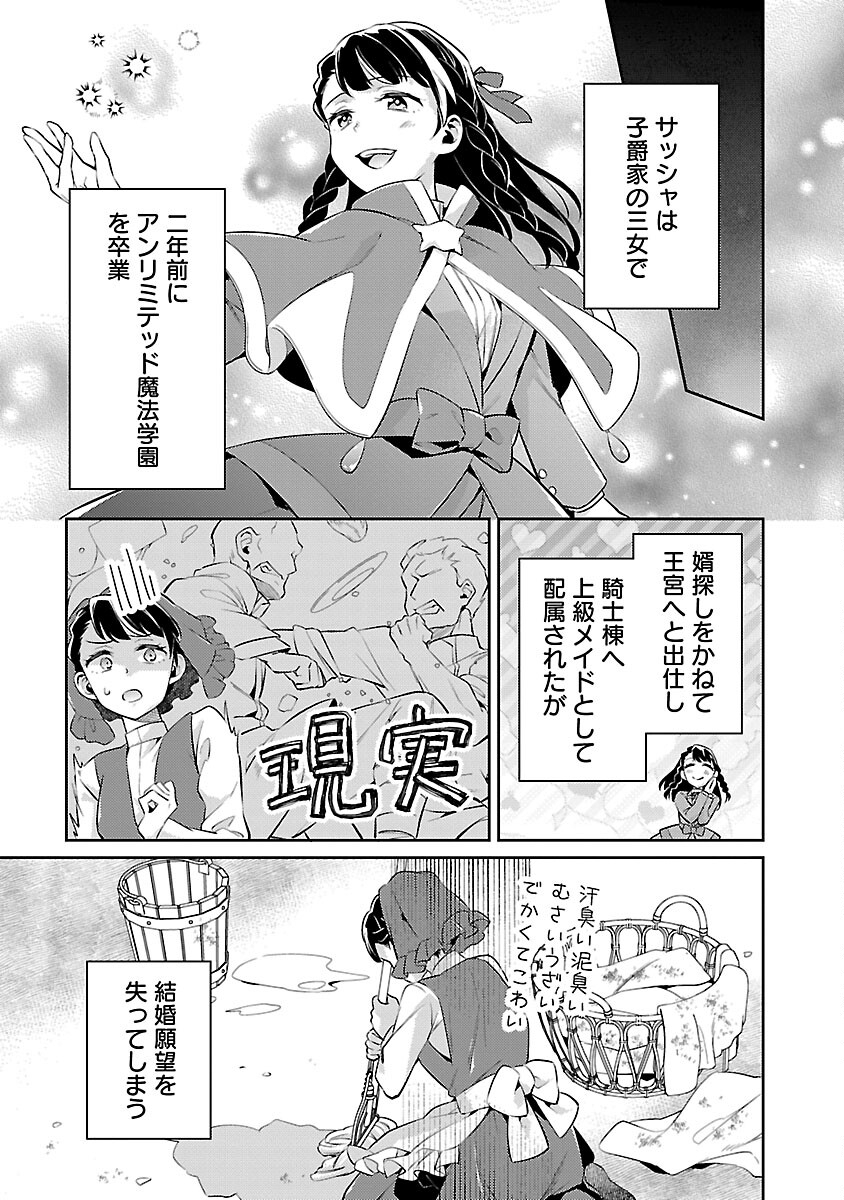 悪役令嬢の兄に転生しました 第20話 - Page 19