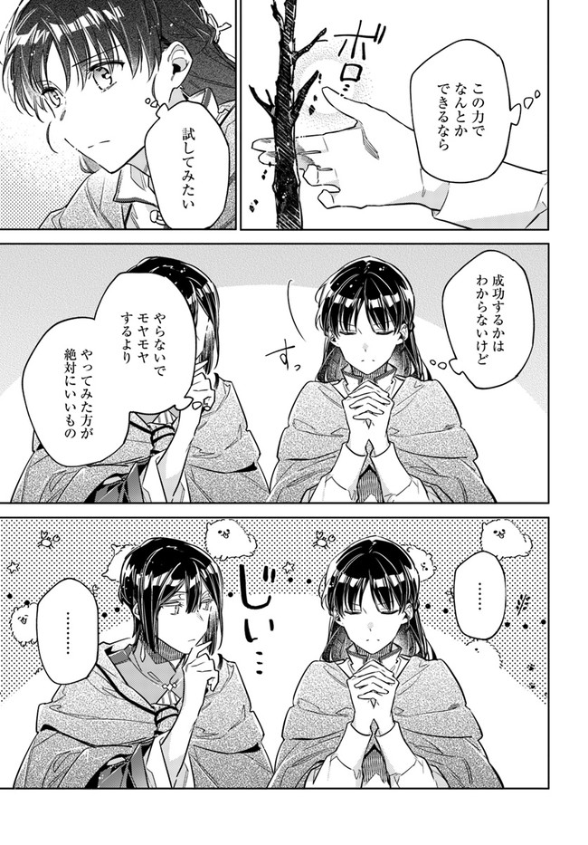 聖女の魔力は万能です 第34.4話 - Page 3