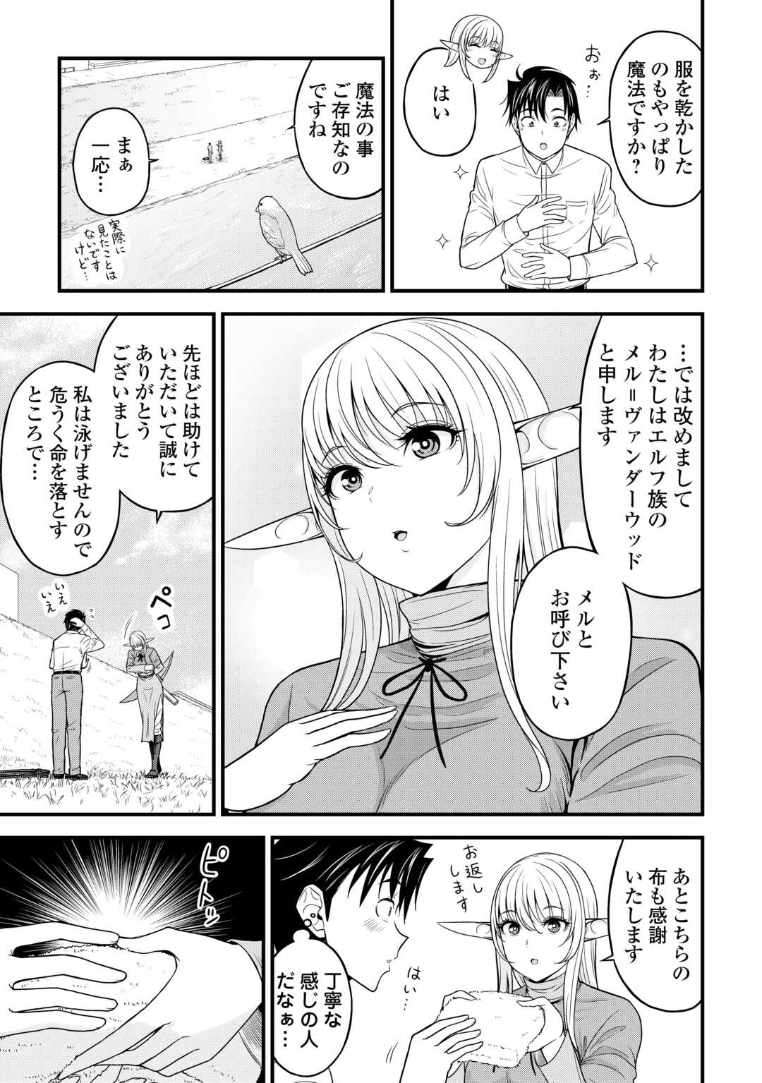 異世界からエルフさんが落ちてきたのですが!? 第1話 - Page 15