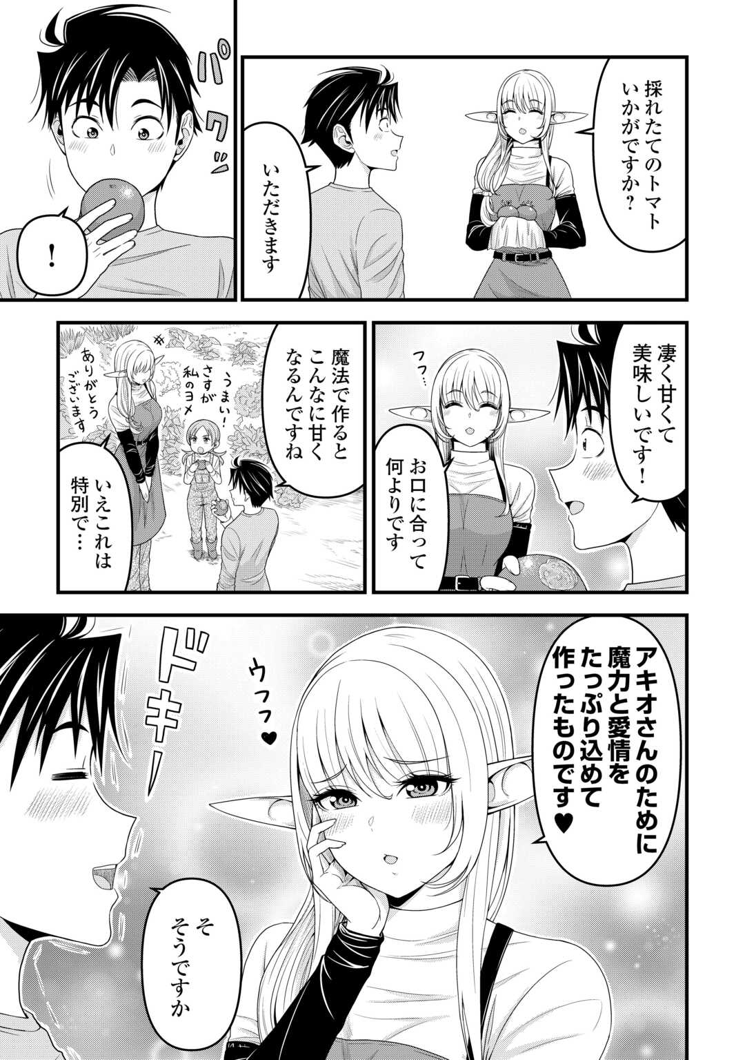 異世界からエルフさんが落ちてきたのですが!? 第6話 - Page 15