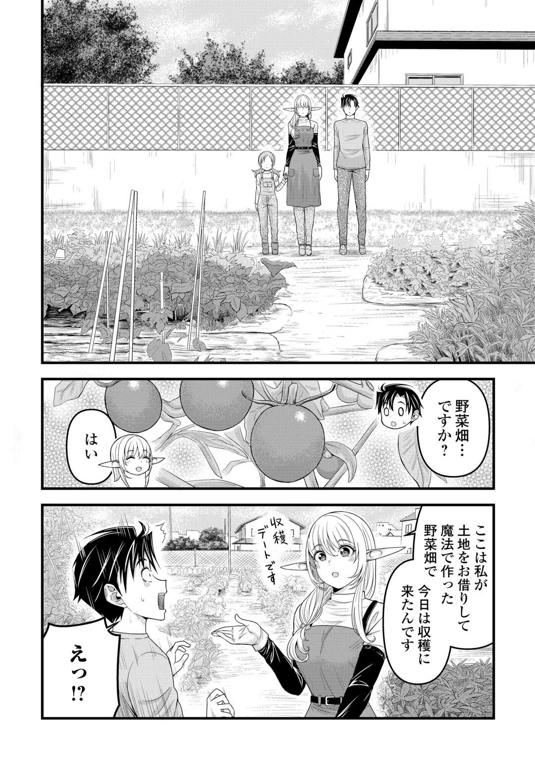 異世界からエルフさんが落ちてきたのですが!? 第6話 - Page 10