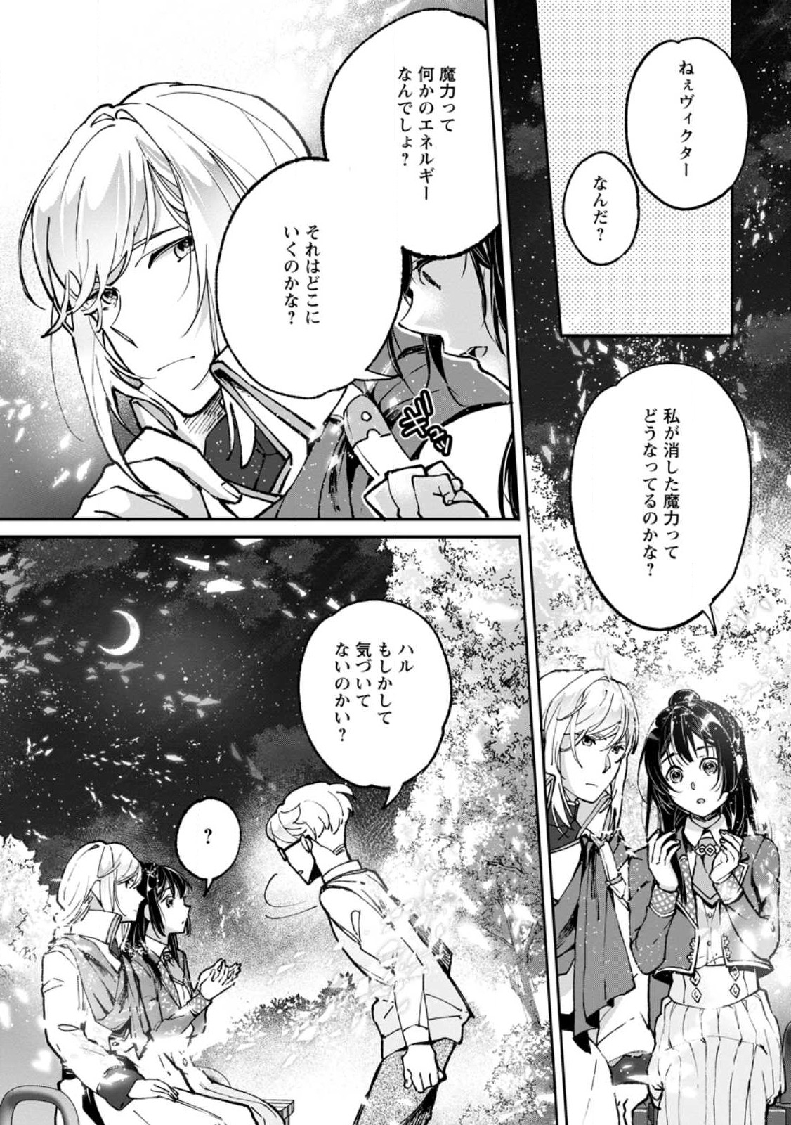 ええ、召喚されて困っている聖女（仮）とは私のことです 第8.1話 - Page 4