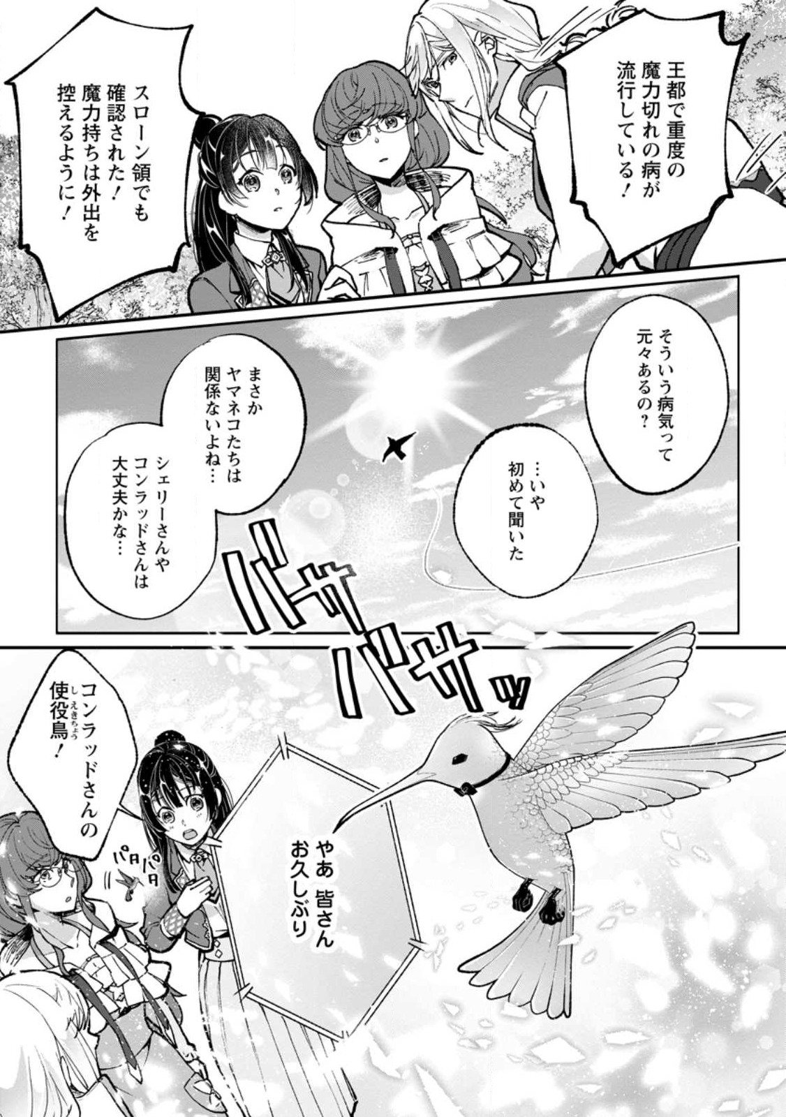 ええ、召喚されて困っている聖女（仮）とは私のことです 第9.1話 - Page 3