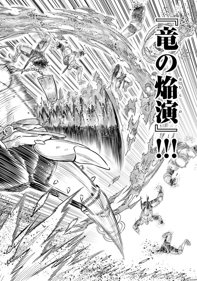 最後の竜騎士の英雄譚 〜パンジャール猟兵団戦記〜 第14話 - Page 14