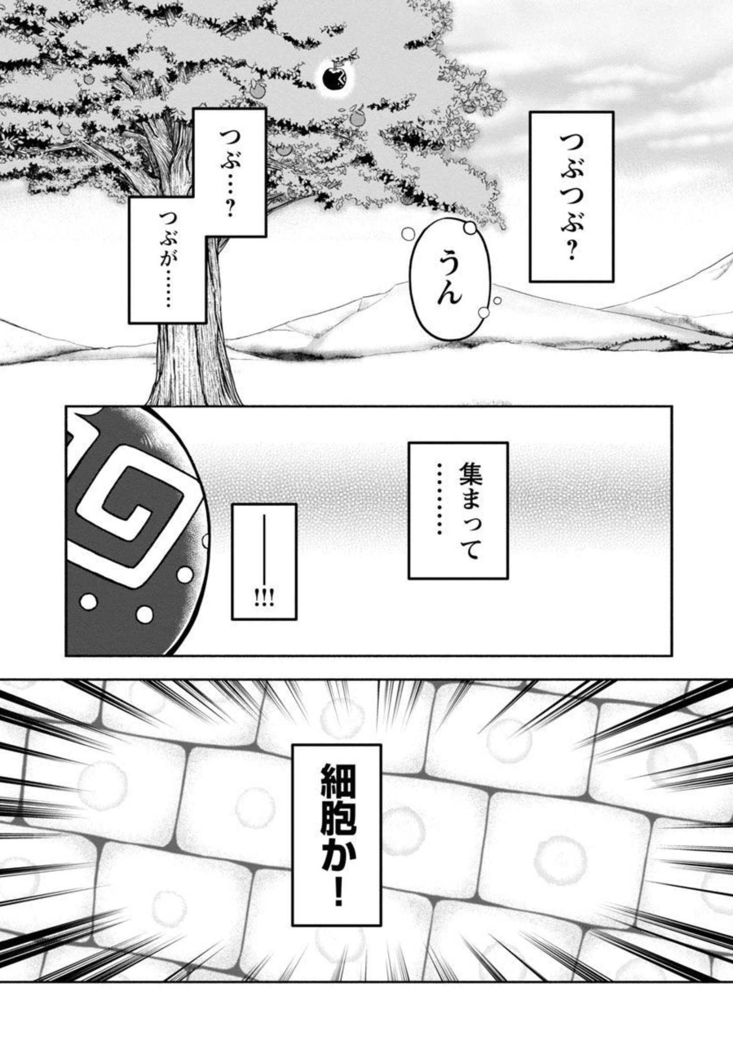 林檎転生 禁断の果実は今日もコロコロと無双する 第2話 - Page 24