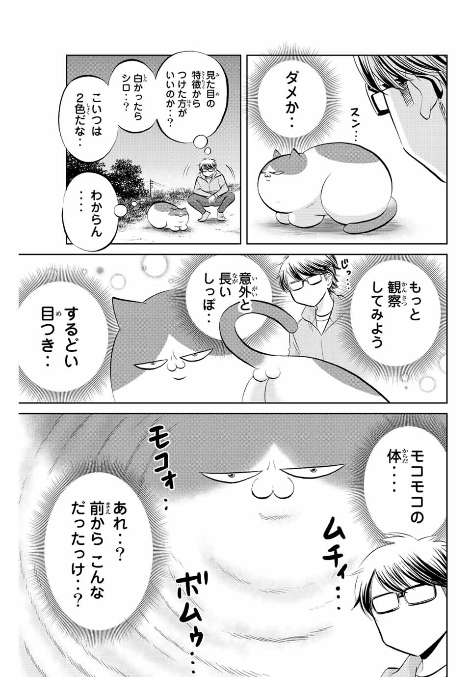 ダイヤのC!! 青道高校野球部猫日誌 第14話 - Page 5