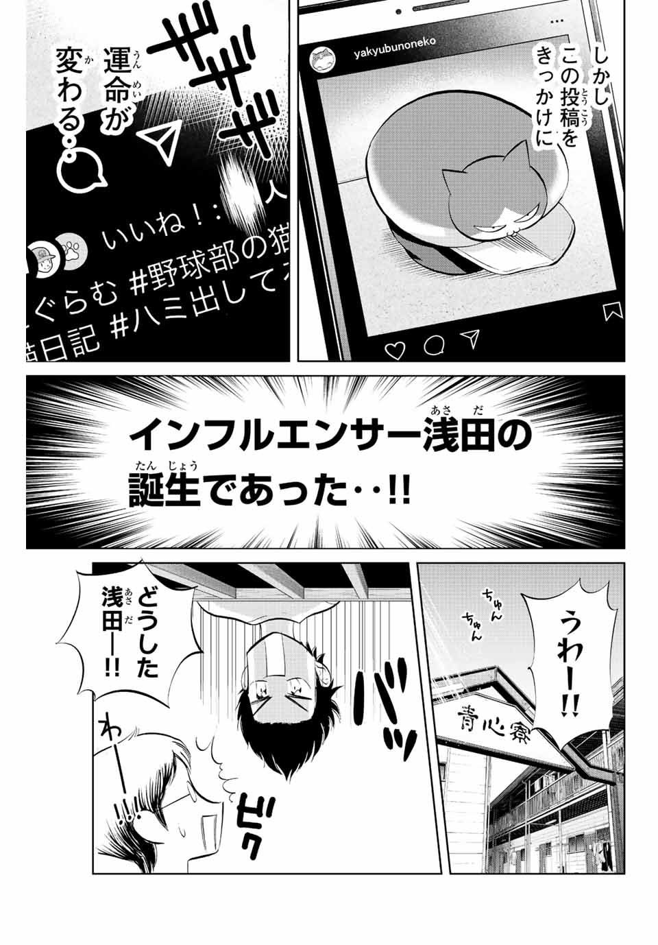 ダイヤのC!! 青道高校野球部猫日誌 第18話 - Page 3