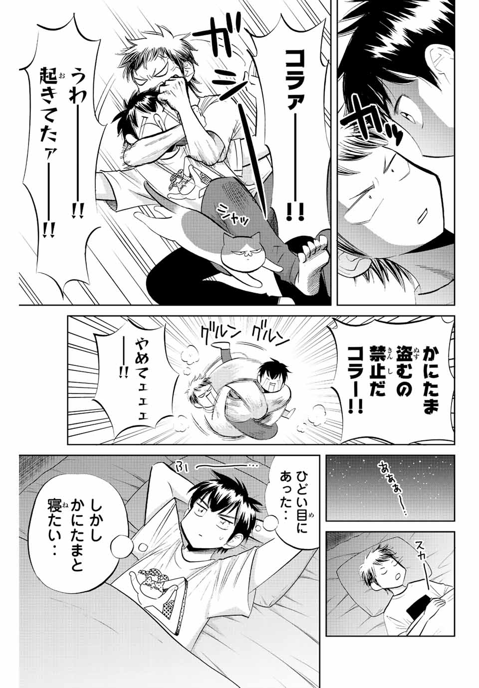 ダイヤのC!! 青道高校野球部猫日誌 第21話 - Page 3