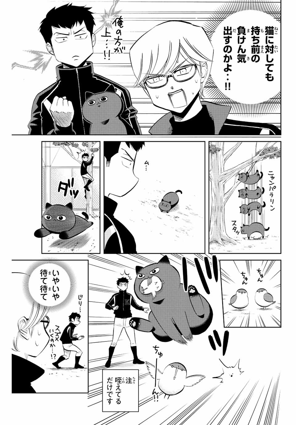 ダイヤのC!! 青道高校野球部猫日誌 第23話 - Page 5