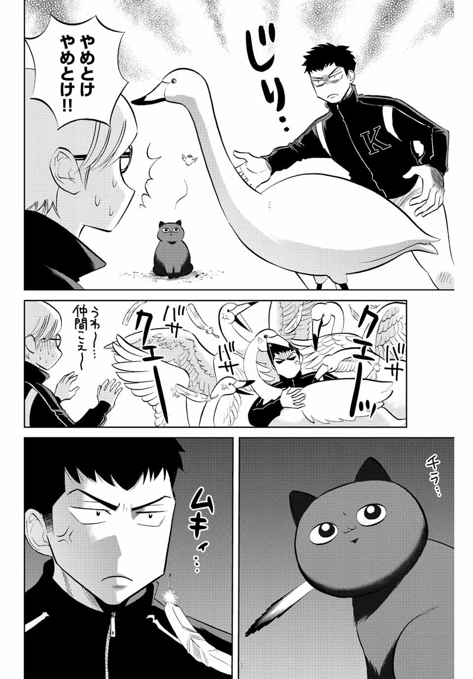 ダイヤのC!! 青道高校野球部猫日誌 第23話 - Page 6