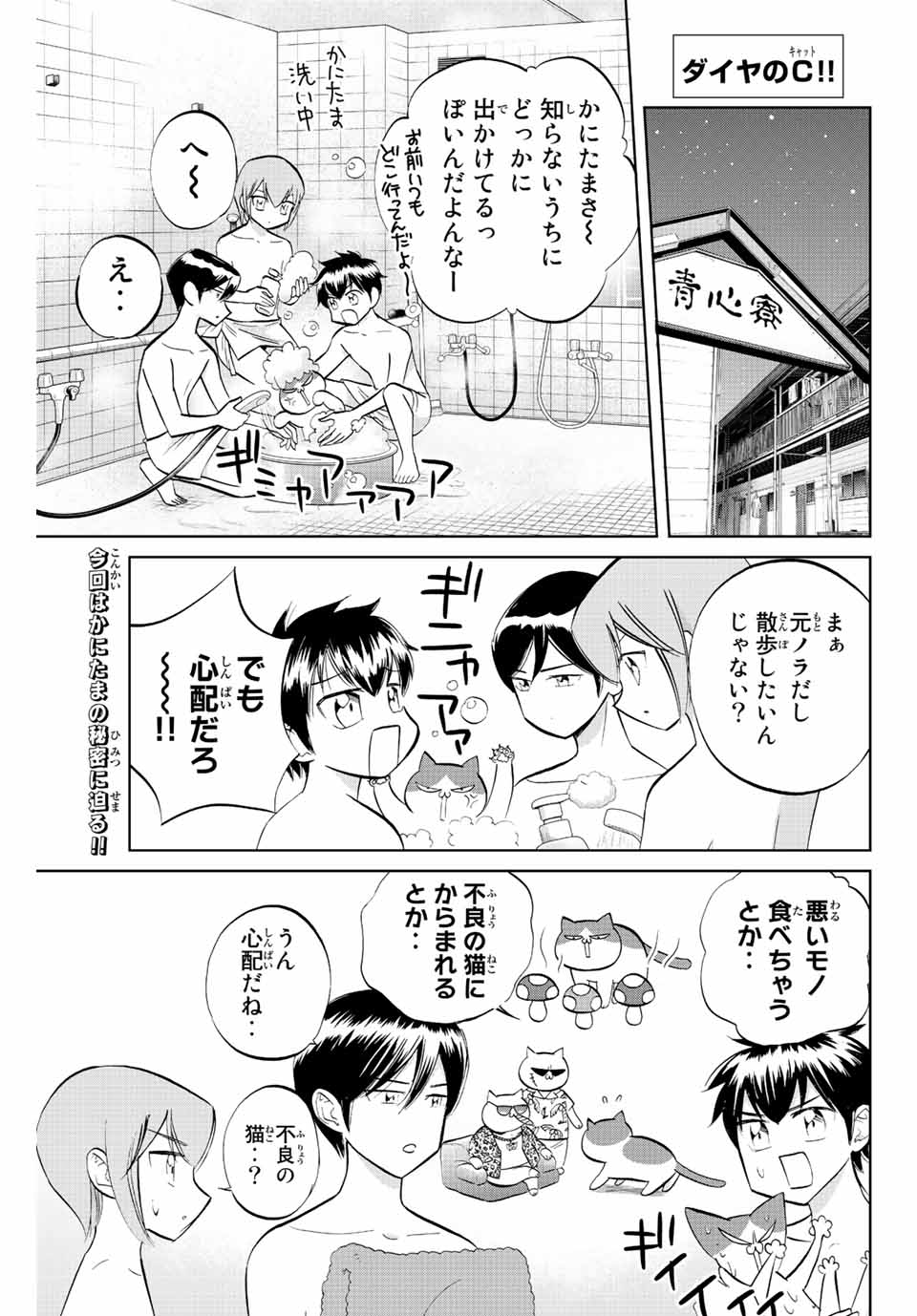 ダイヤのC!! 青道高校野球部猫日誌 第24話 - Page 1