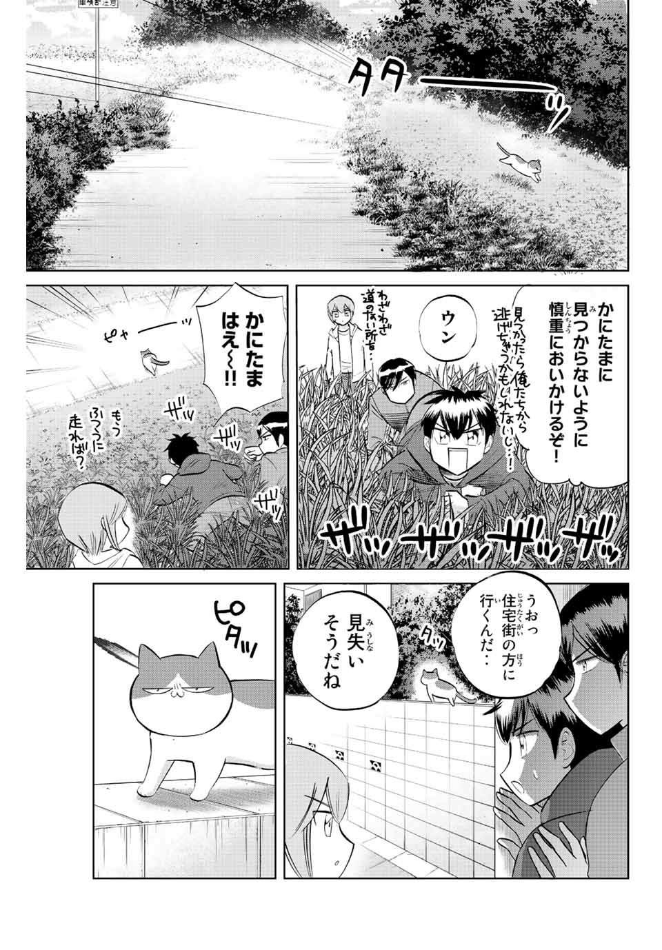 ダイヤのC!! 青道高校野球部猫日誌 第24話 - Page 3