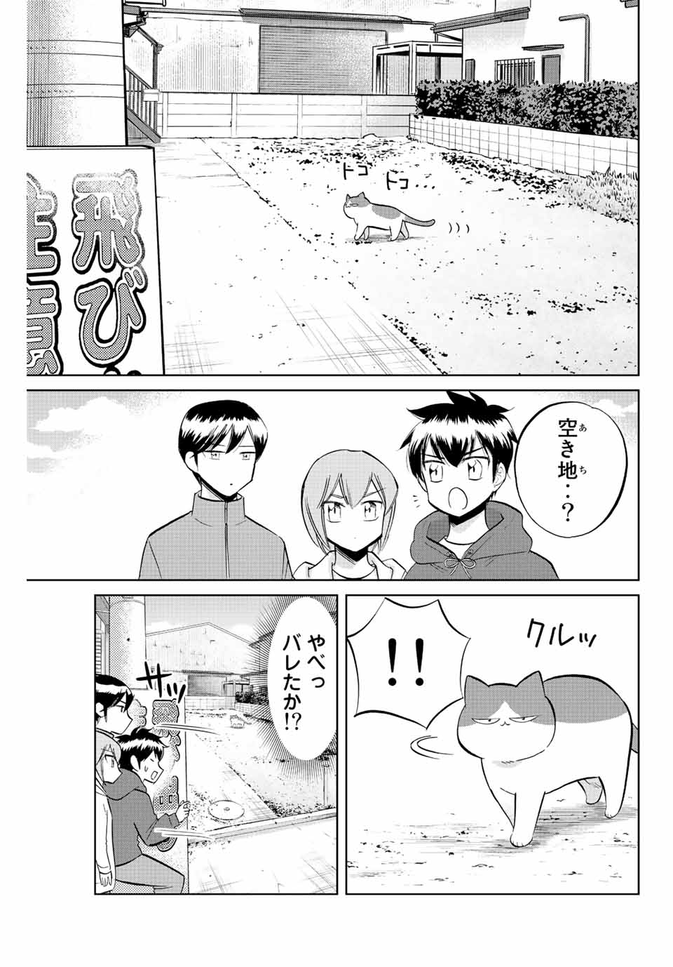 ダイヤのC!! 青道高校野球部猫日誌 第24話 - Page 5