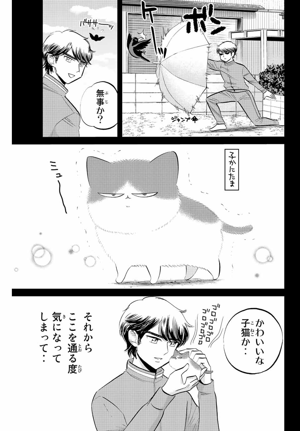 ダイヤのC!! 青道高校野球部猫日誌 第25話 - Page 5