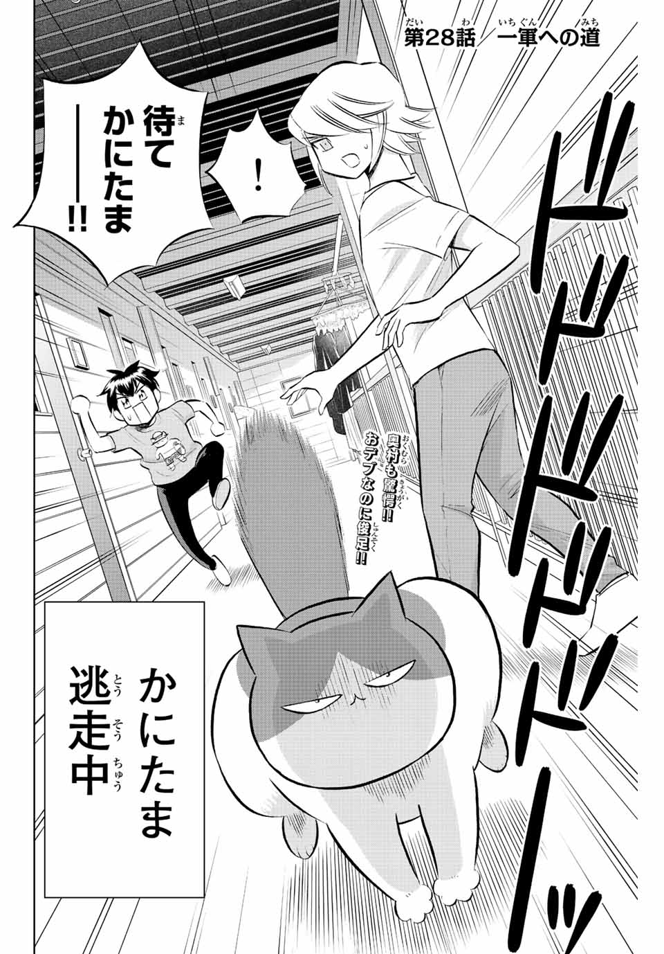 ダイヤのC!! 青道高校野球部猫日誌 第28話 - Page 2