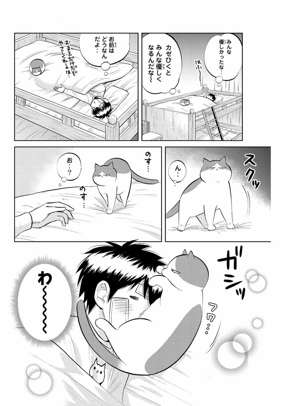 ダイヤのC!! 青道高校野球部猫日誌 第29話 - Page 6