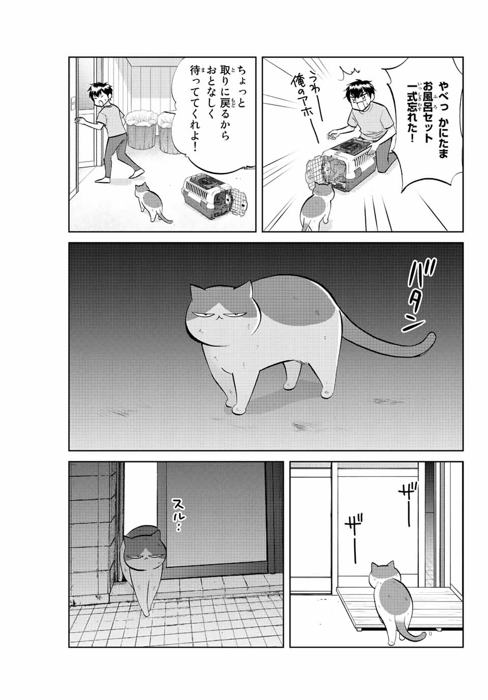 ダイヤのC!! 青道高校野球部猫日誌 第30話 - Page 3