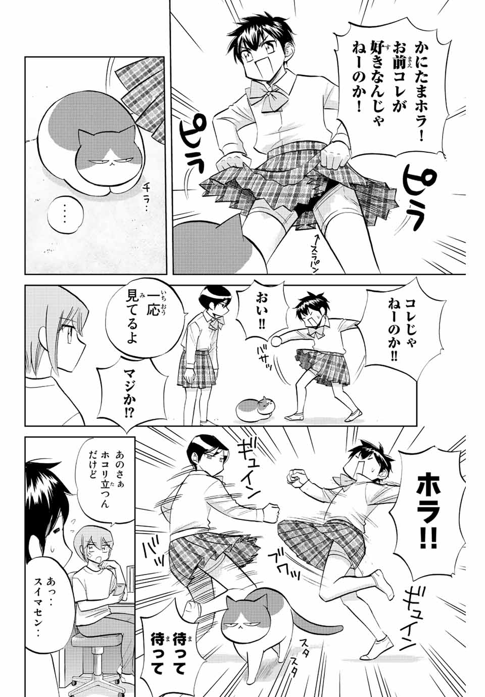 ダイヤのC!! 青道高校野球部猫日誌 第31話 - Page 6