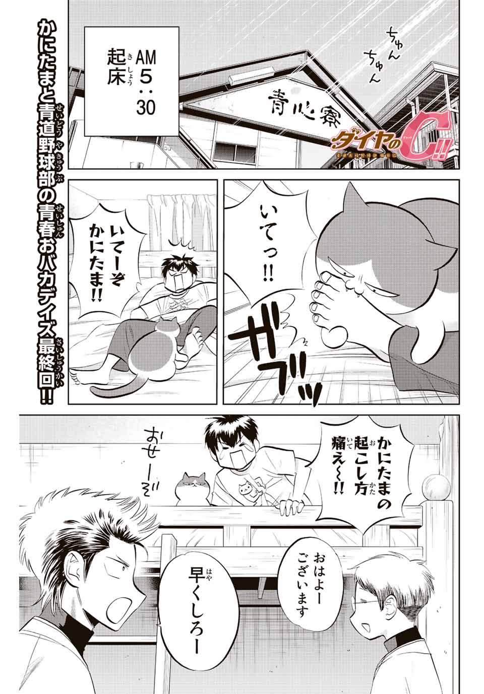 ダイヤのC!! 青道高校野球部猫日誌 第39話 - Page 1