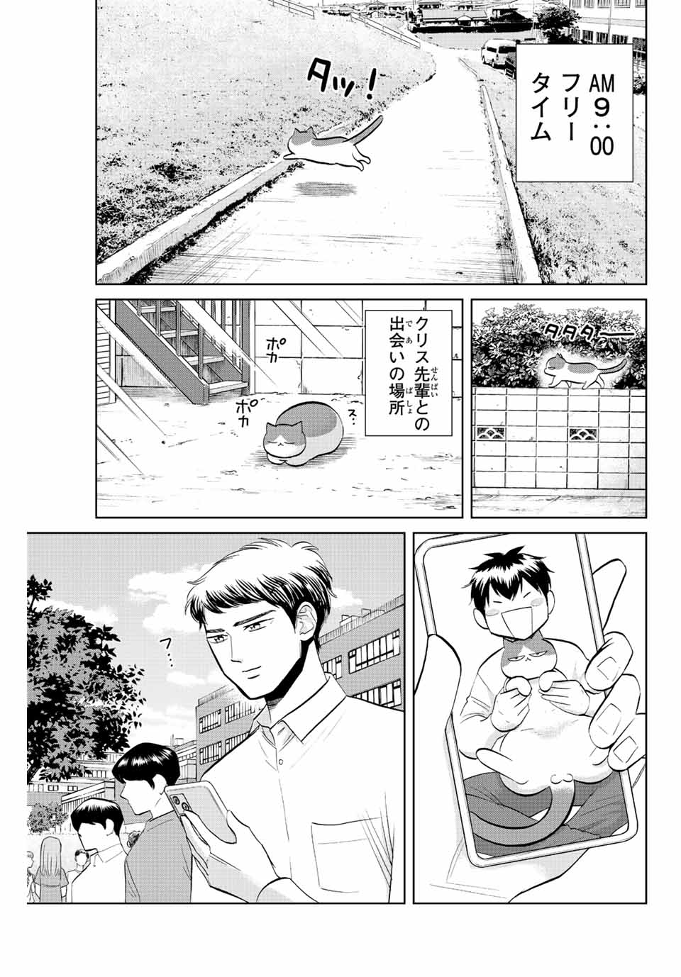 ダイヤのC!! 青道高校野球部猫日誌 第39話 - Page 5