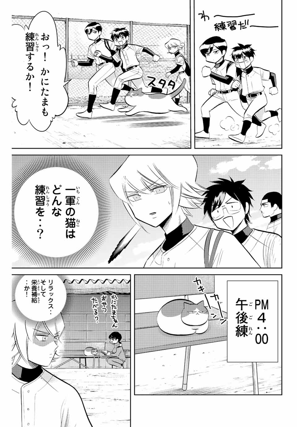 ダイヤのC!! 青道高校野球部猫日誌 第39話 - Page 7