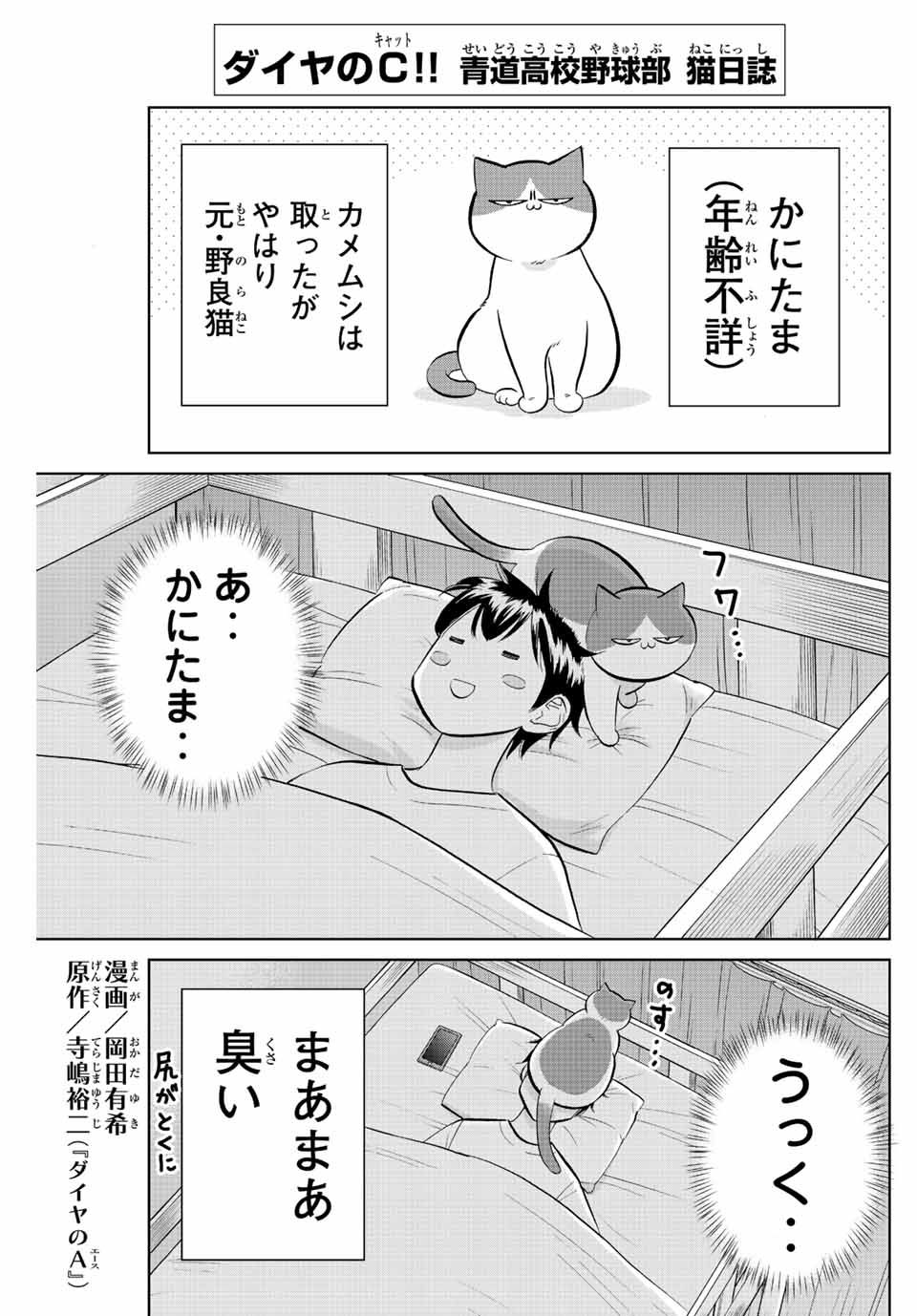 ダイヤのC!! 青道高校野球部猫日誌 第6話 - Page 1