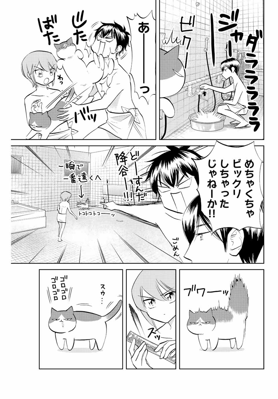 ダイヤのC!! 青道高校野球部猫日誌 第6話 - Page 5