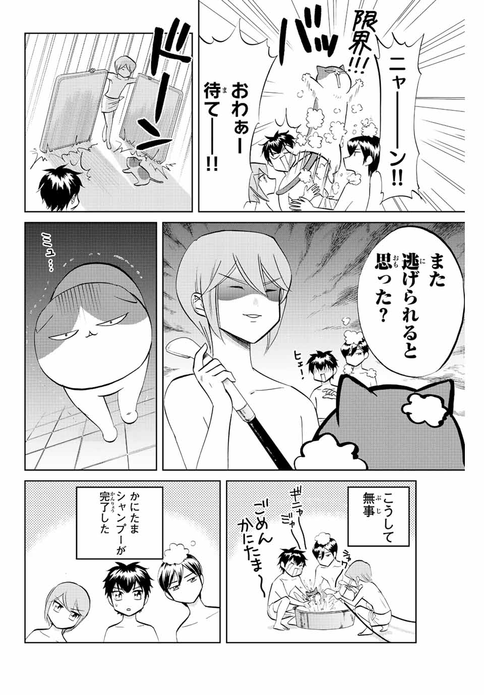 ダイヤのC!! 青道高校野球部猫日誌 第6話 - Page 8