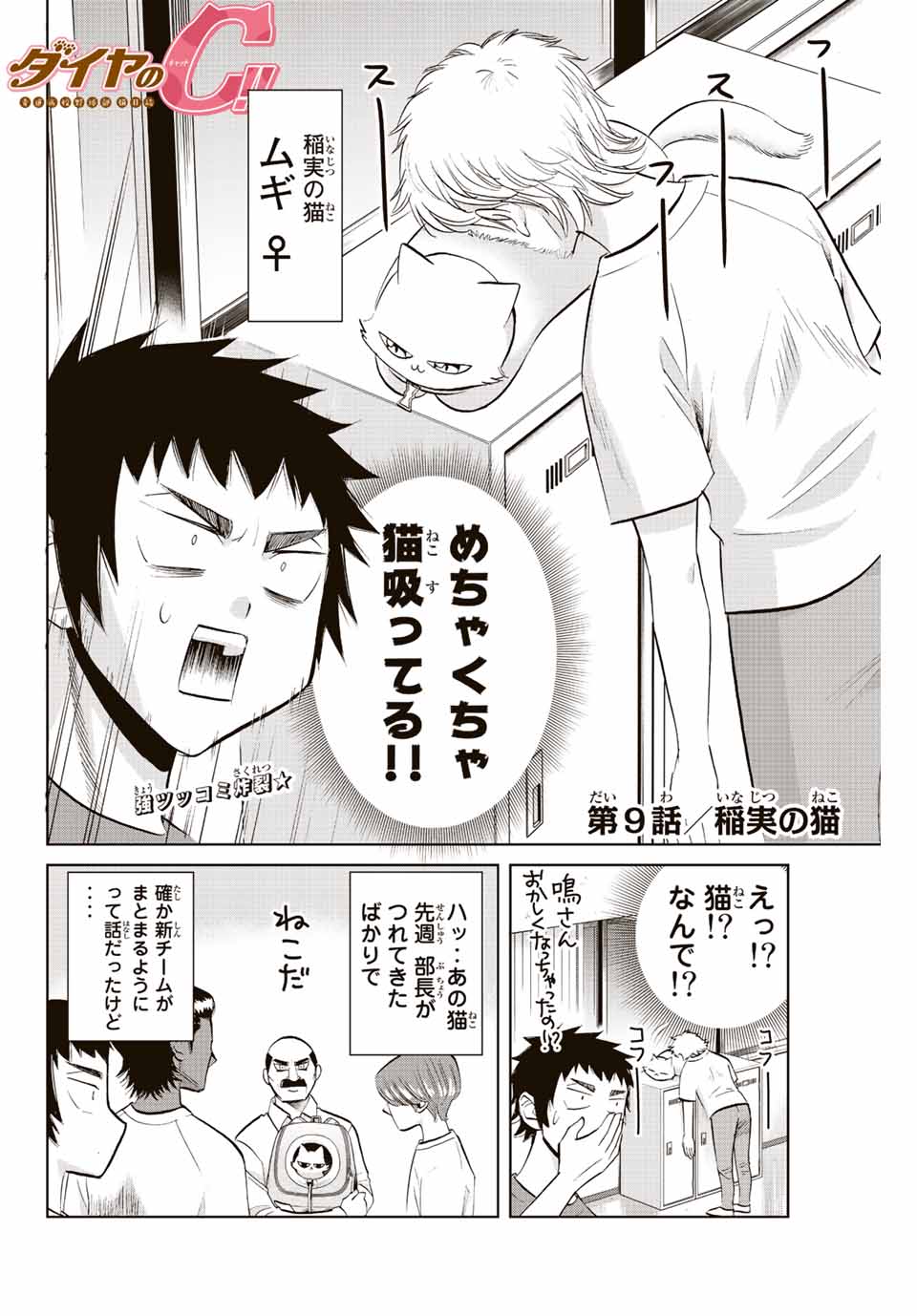 ダイヤのC!! 青道高校野球部猫日誌 第9話 - Page 2