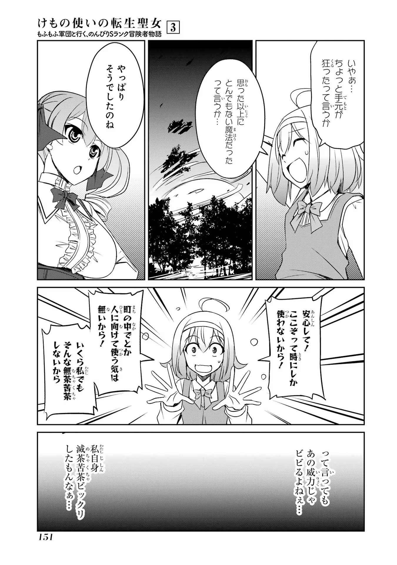 けもの使いの転生聖女 ～もふもふ軍団と行く、のんびりSランク冒険者物語～ 第15話 - Page 13