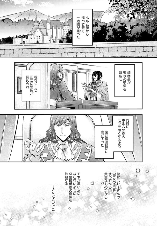 聖女の魔力は万能です ～もう一人の聖女～ 第16.1話 - Page 4