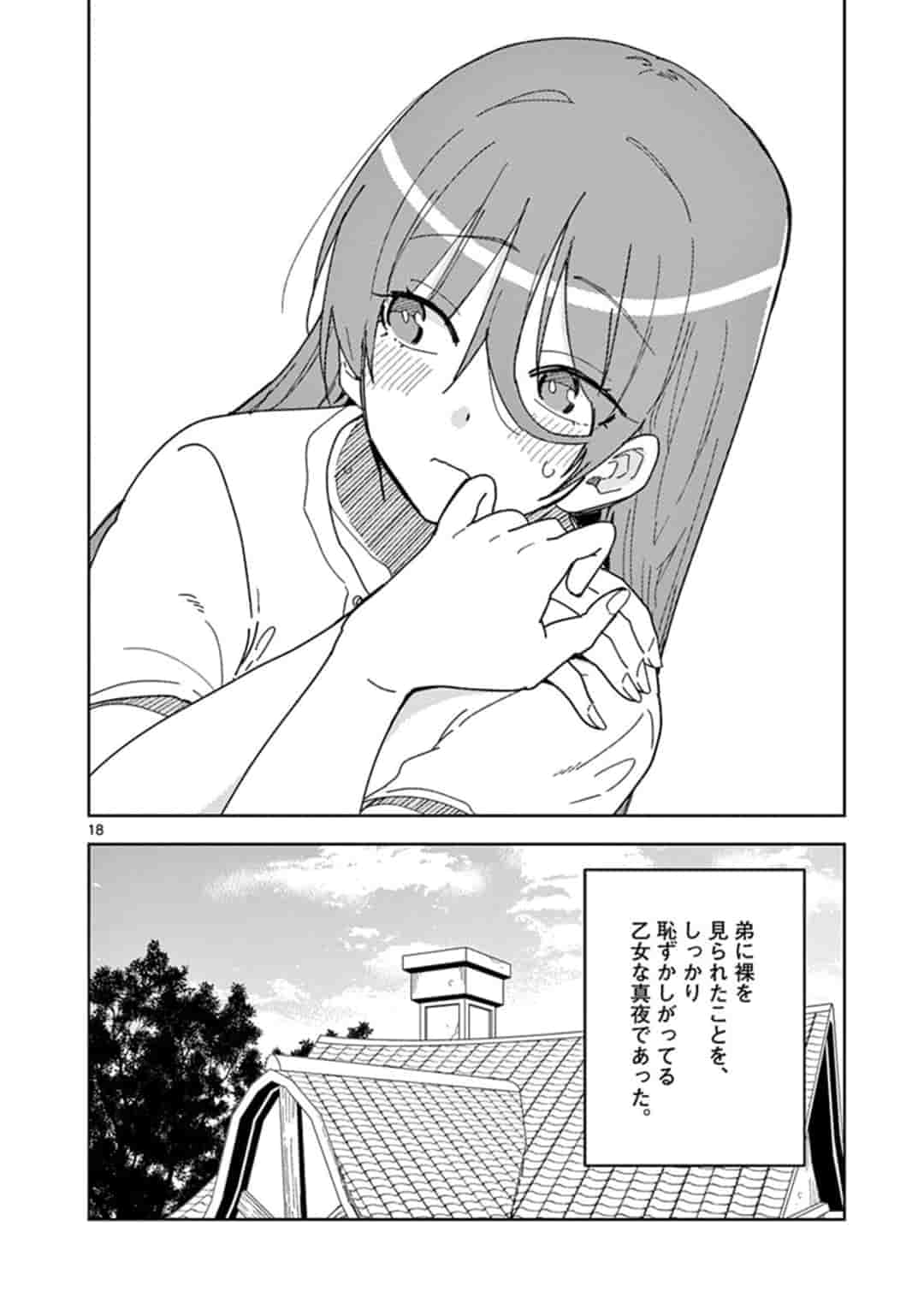 異世界ワンターンキル姉さん　～姉同伴の異世界生活はじめました～ 第29話 - Page 18