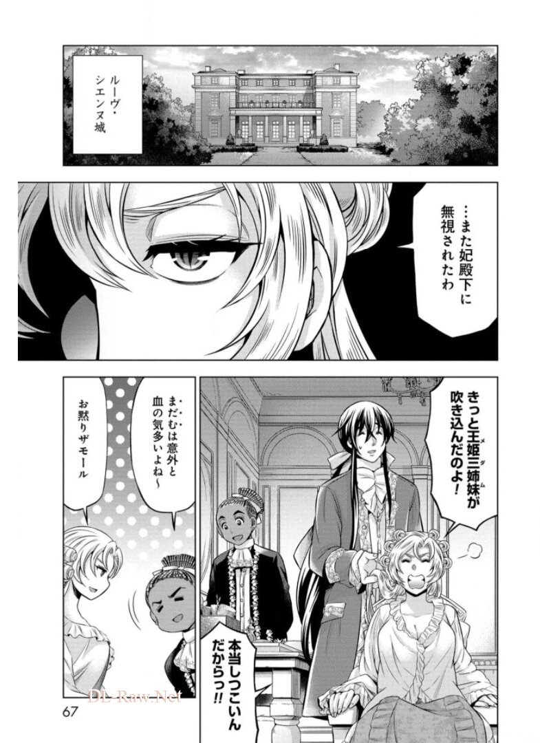 傾国の仕立て屋 ローズ・ベルタン 第17話 - Page 29