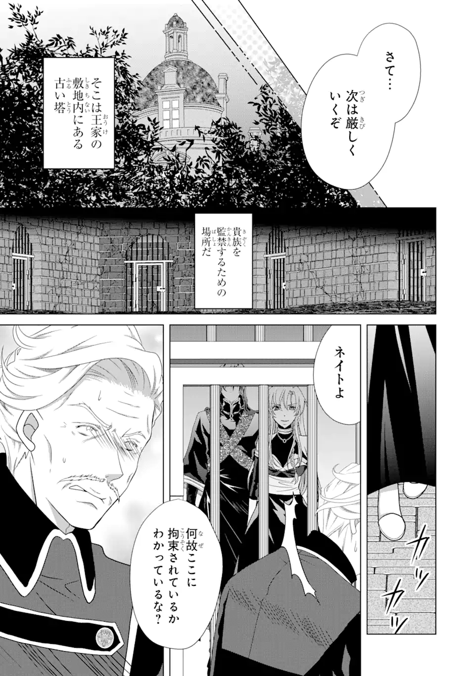 悪徳女王の心得 第10.1話 - Page 13