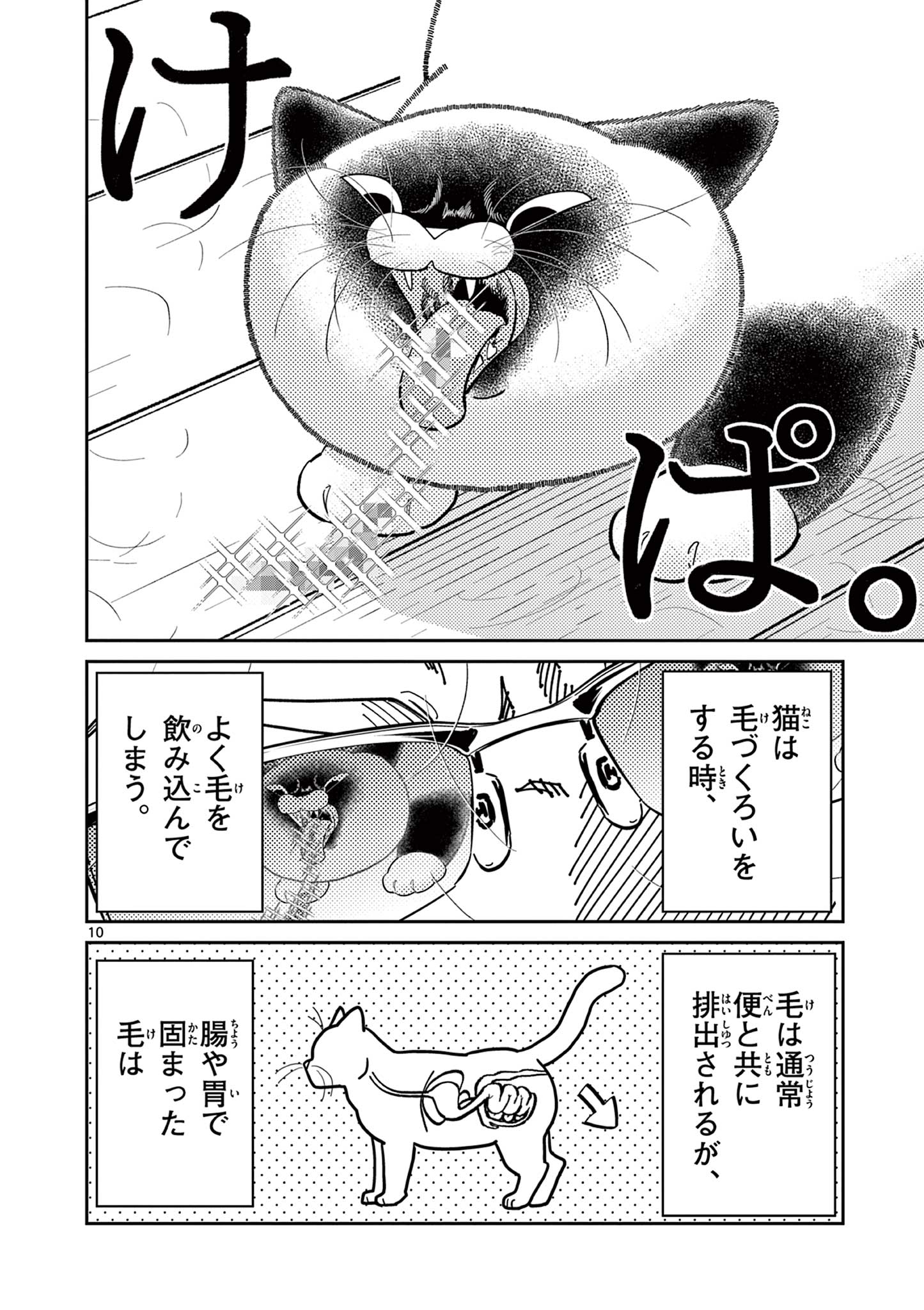 オヤジとにゃん吉 第34話 - Page 10