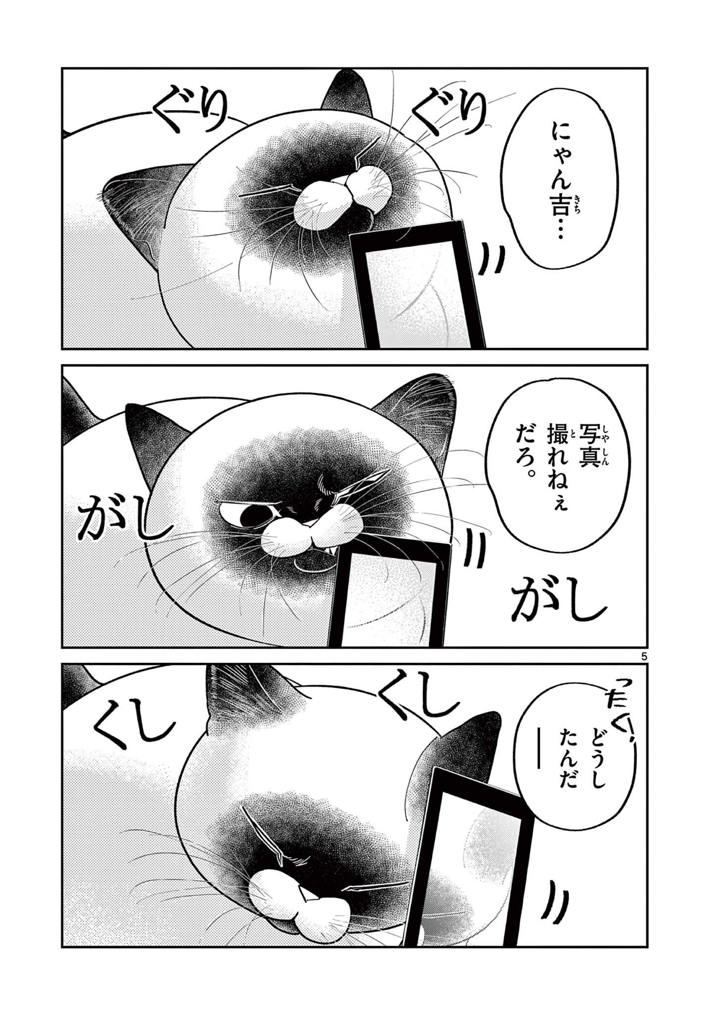 オヤジとにゃん吉 第35話 - Page 5