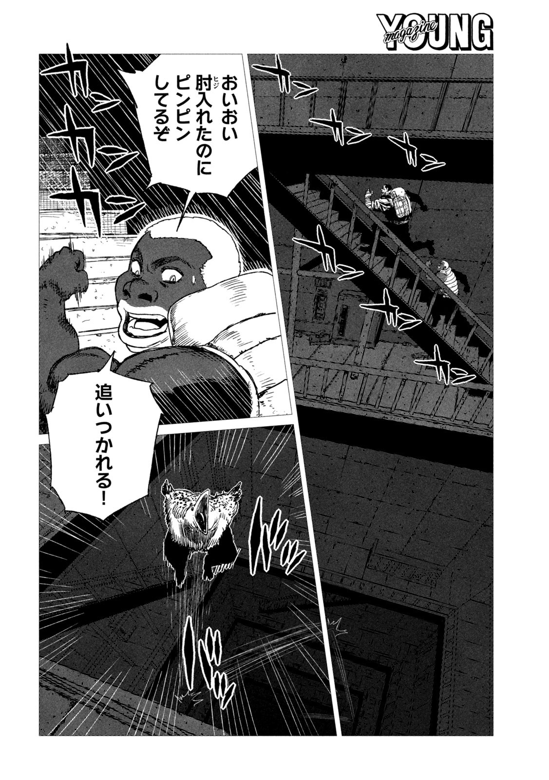虎鶫 とらつぐみ -TSUGUMI PROJECT- 第13話 - Page 14