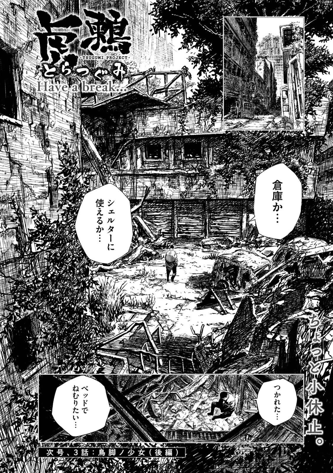 虎鶫 とらつぐみ -TSUGUMI PROJECT- 第2話 - Page 20