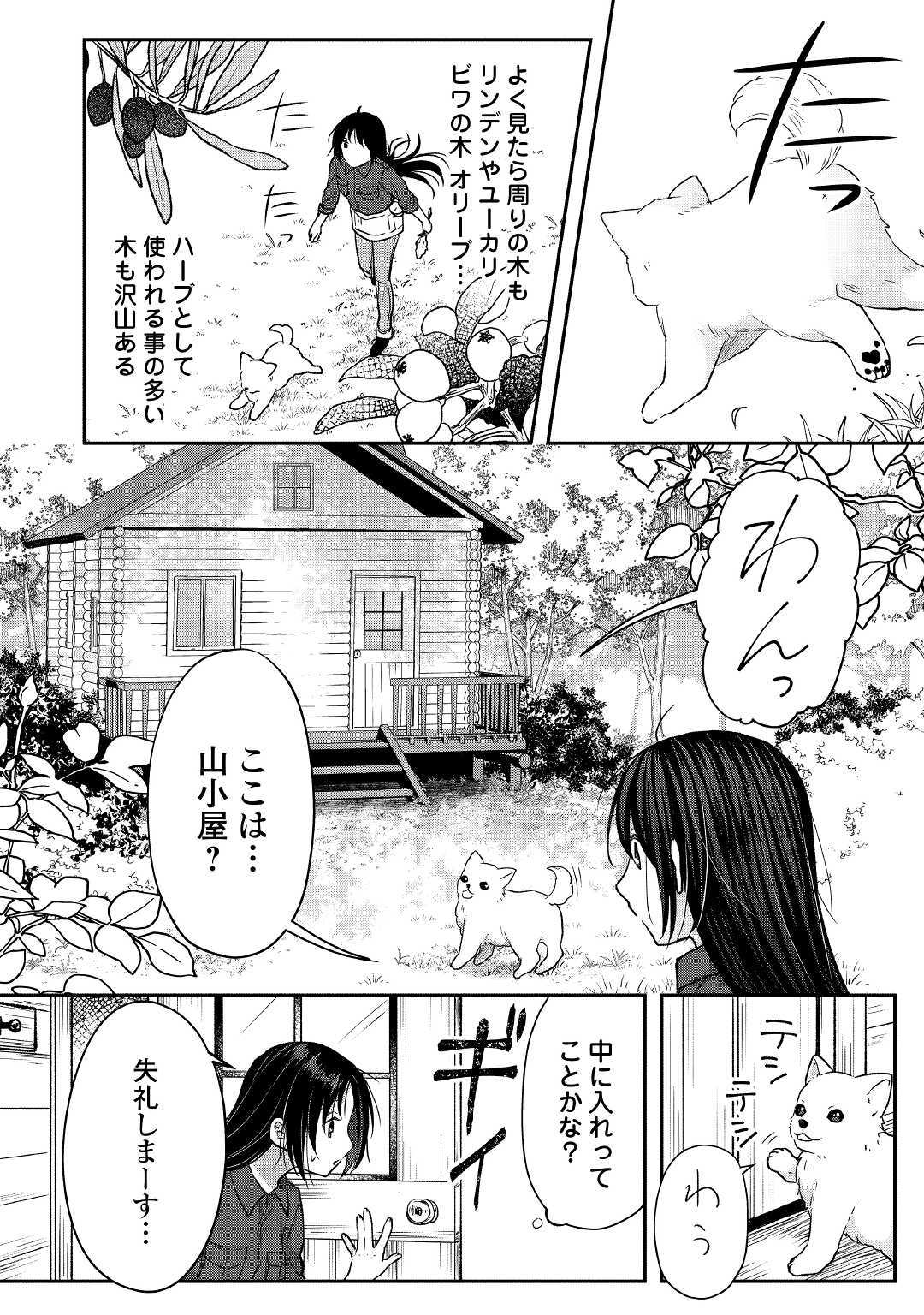 緑の魔法と香りの使い手 第1話 - Page 12