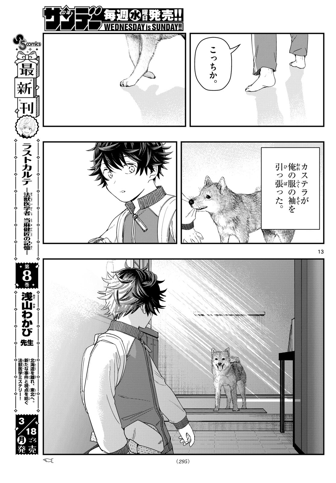 ラストカルテ-法獣医学者 当麻健匠の記憶- 第90話 - Page 13