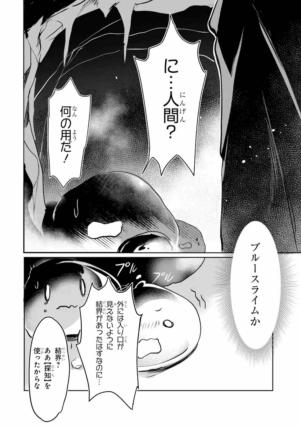 魔物を従える“帝印”を持つ転生賢者 ～かつての魔法と従魔でひっそり最強の冒険者になる～ 第3話 - Page 10