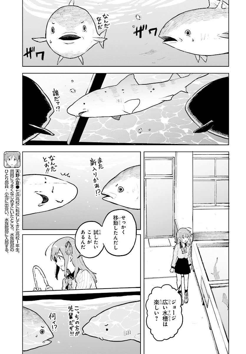 熱帯魚は雪に焦がれる 第15話 - Page 11