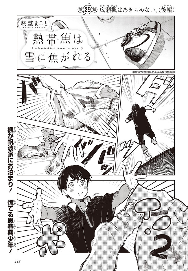 熱帯魚は雪に焦がれる 第29.2話 - Page 1