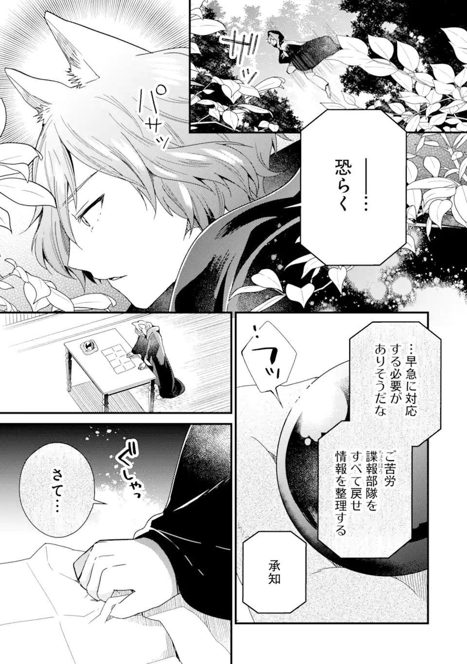 6歳の賢者は日陰の道を歩みたい; 6-year-old wise man wants to walk in the shade; 第14.1話 - Page 21