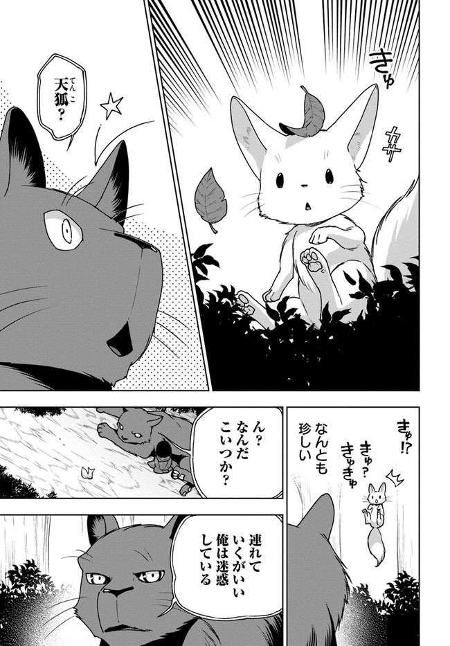 もふもふを知らなかったら人生の半分は無駄にしていた 第10話 - Page 17