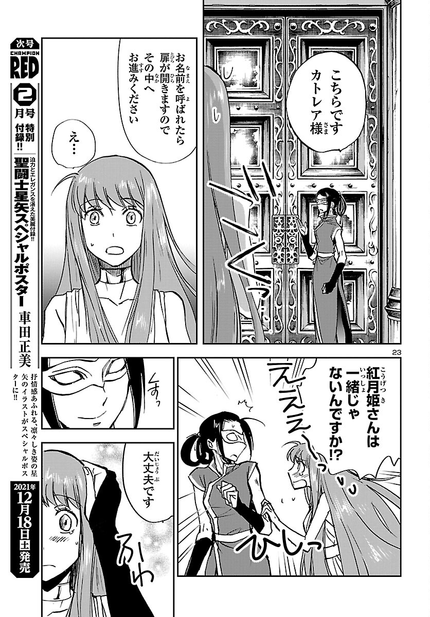 聖闘士星矢・冥王異伝 ダークウィング 第10話 - Page 23
