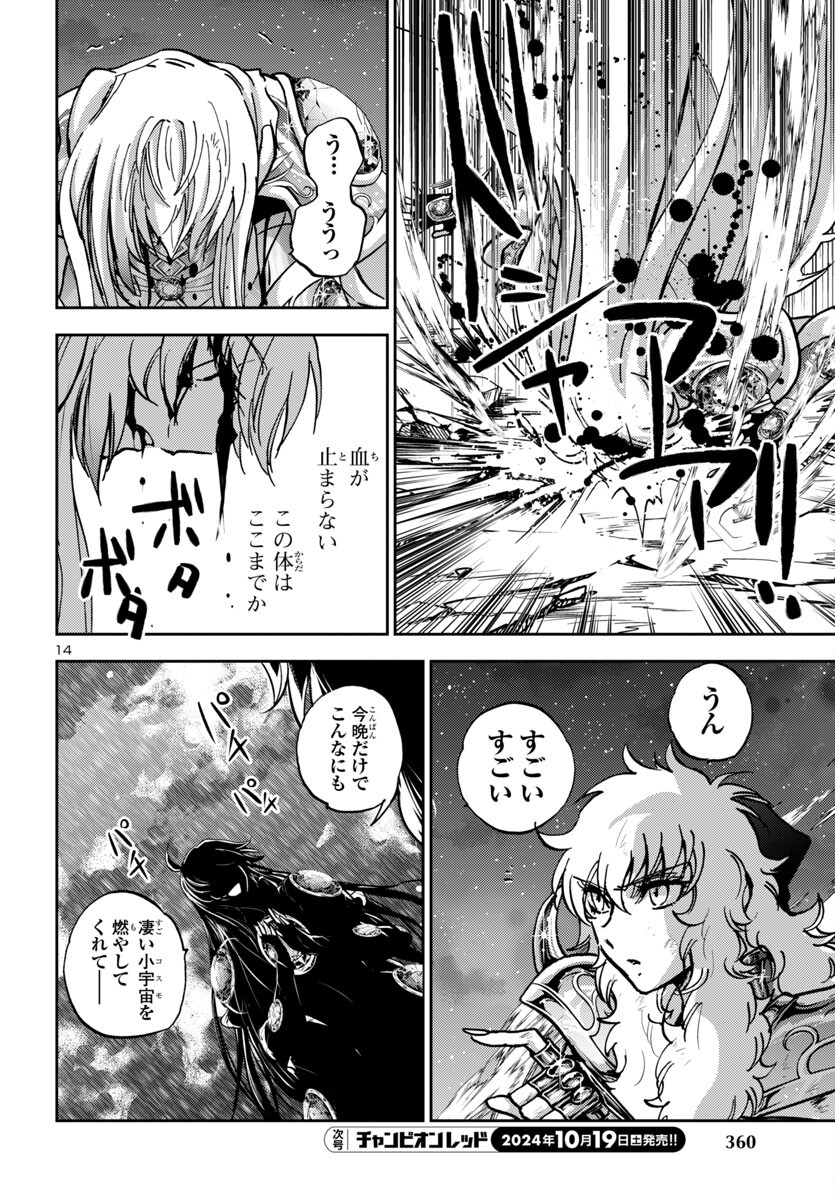 聖闘士星矢・冥王異伝 ダークウィング 第37話 - Page 14