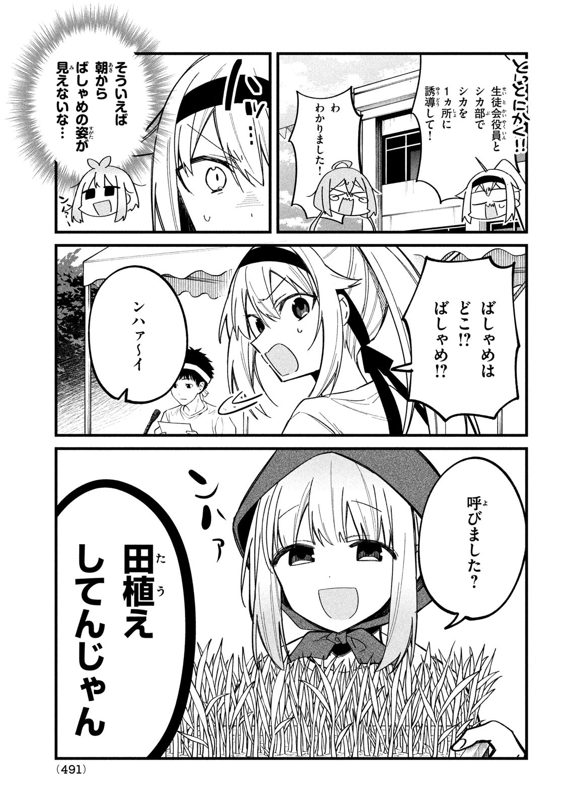 しかのこのこのここしたんたん 第26話 - Page 13