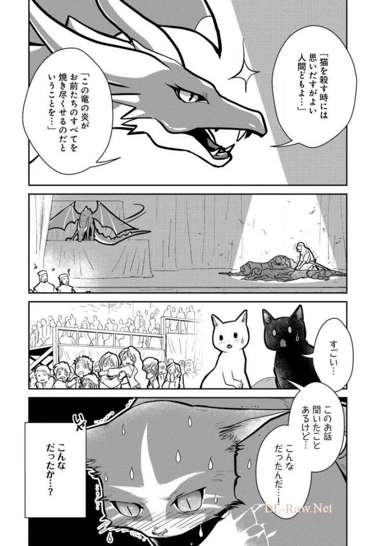 猫と竜 第10話 - Page 22