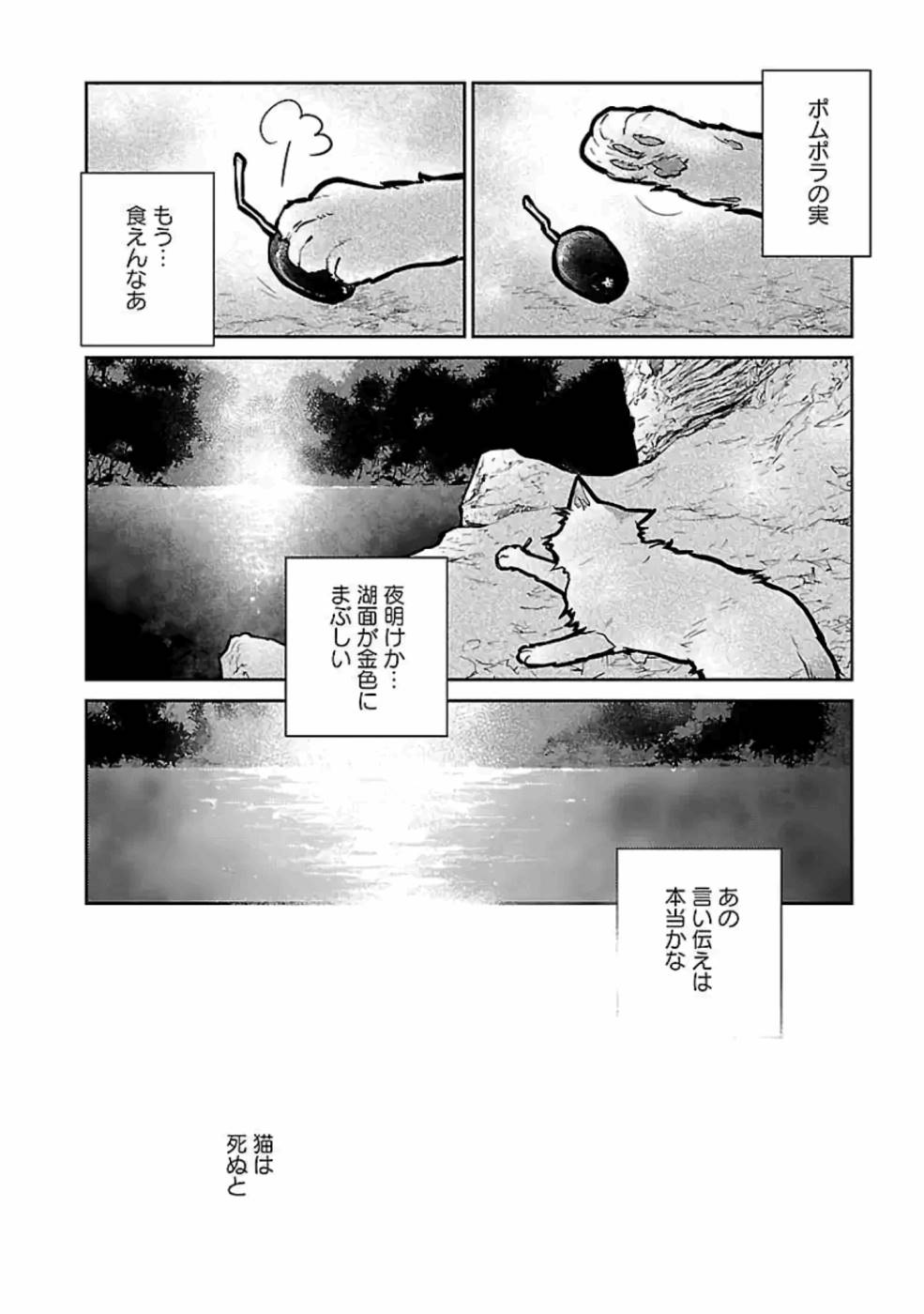 猫と竜 第15話 - Page 34